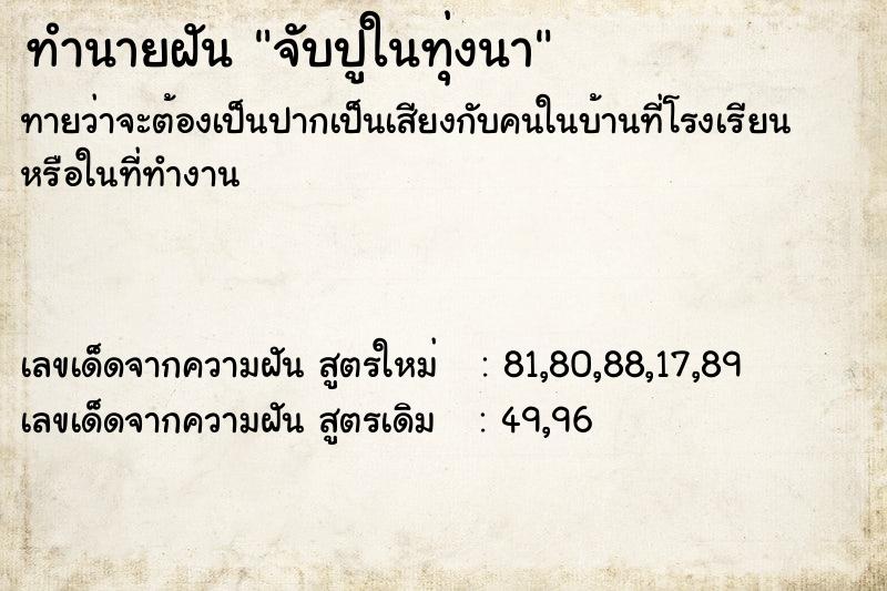 ทำนายฝันทำนายฝันจับปูในทุ่งนา