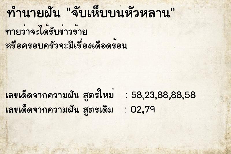 ทำนายฝันจับเห็บบนหัวหลาน ทำนายฝันทำนายฝันจับเห็บบนหัวหลาน