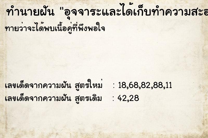ทำนายฝัน อุจจาระและได้เก็บทำความสะอาดด้วย ทำนายฝัน อุจจาระและได้เก็บทำความสะอาดด้วย