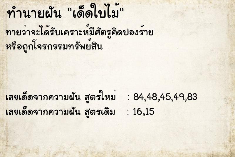 ทำนายฝัน เด็ดใบไม้ ทำนายฝัน เด็ดใบไม้