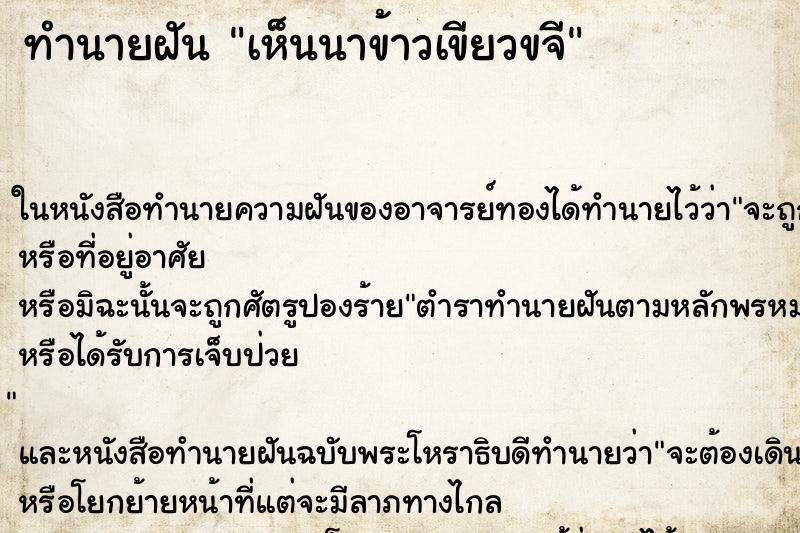 ทำนายฝัน เห็นนาข้าวเขียวขจี