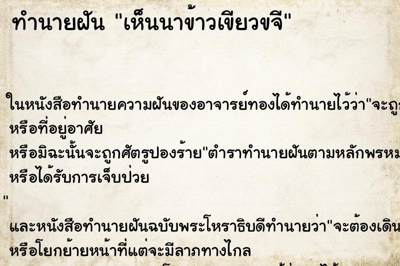 ทำนายฝัน เห็นนาข้าวเขียวขจี ตำราโบราณ แม่นที่สุดในโลก