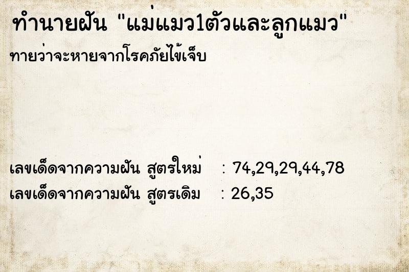 ทำนายฝันทำนายฝันแม่แมว1ตัวและลูกแมว