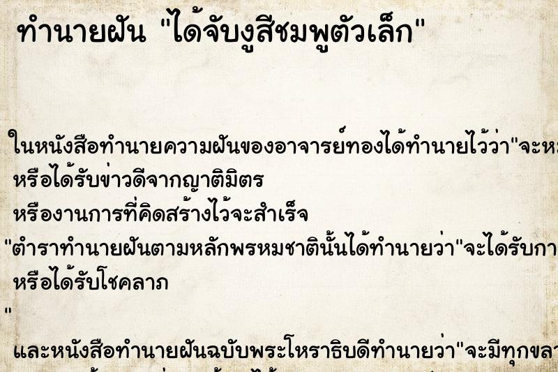 ทำนายฝันได้จับงูสีชมพูตัวเล็ก ทำนายฝันทำนายฝันได้จับงูสีชมพูตัวเล็ก