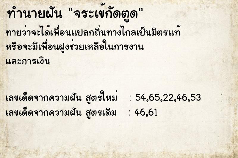 ทำนายฝัน จระเข้กัดตูด ทำนายฝัน จระเข้กัดตูด
