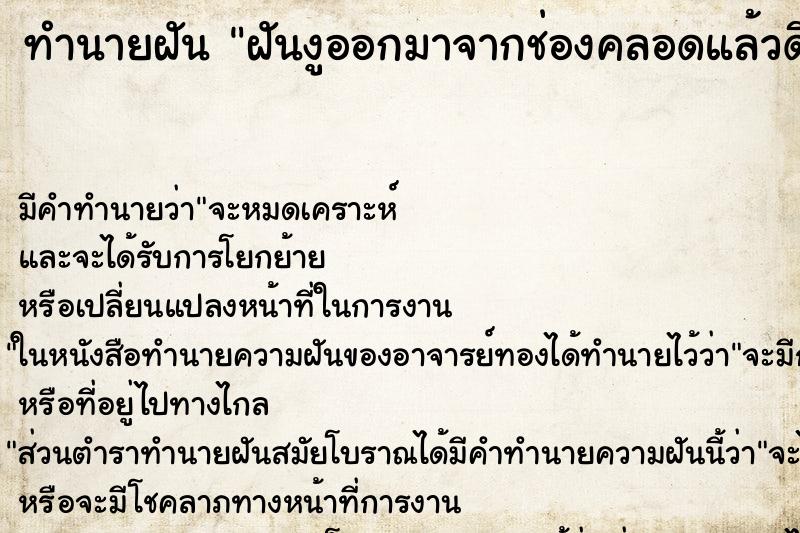 ทำนายฝันฝันงูออกมาจากช่องคลอดแล้วดึงออก ทำนายฝันทำนายฝันฝันงูออกมาจากช่องคลอดแล้วดึงออก