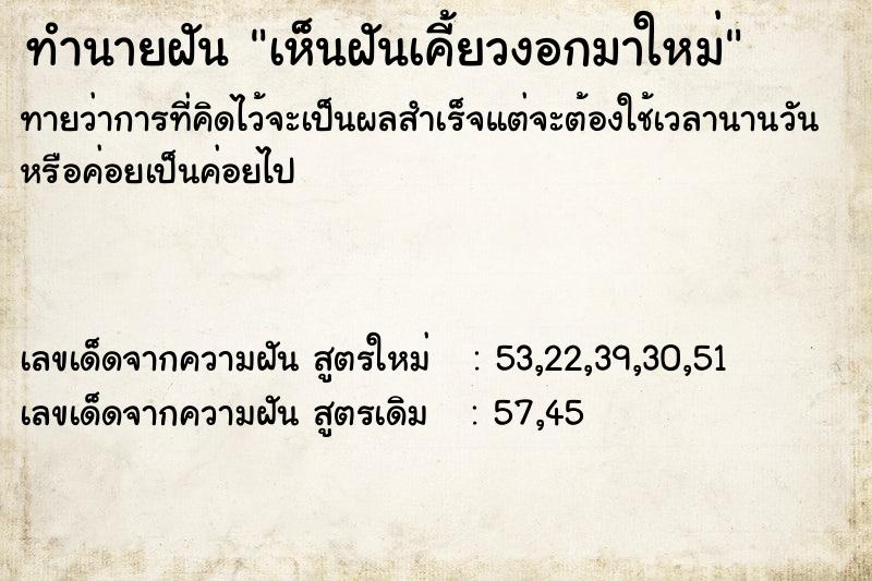 ทำนายฝันเห็นฝันเคี้ยวงอกมาใหม่ ทำนายฝันทำนายฝันเห็นฝันเคี้ยวงอกมาใหม่