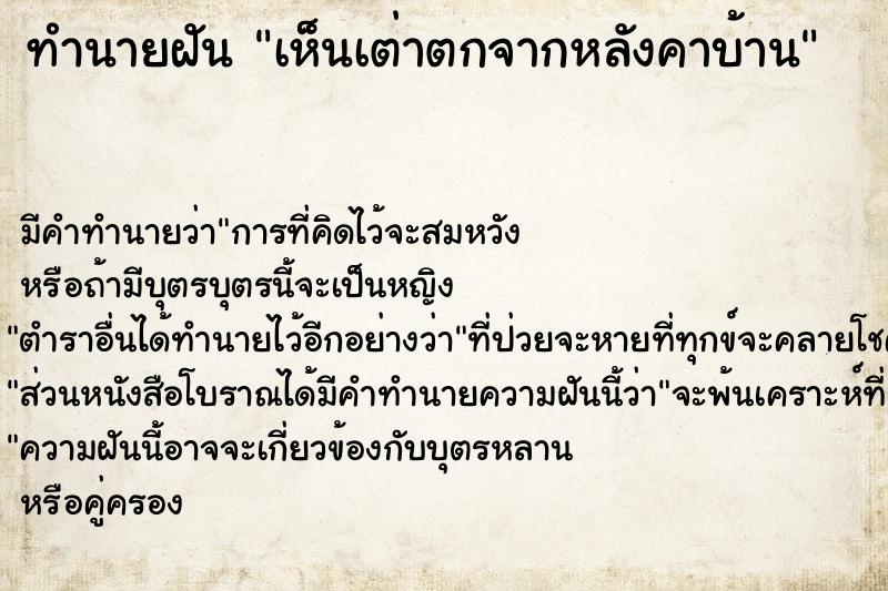 ทำนายฝันทำนายฝันเห็นเต่าตกจากหลังคาบ้าน