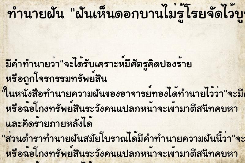 ทำนายฝันฝันเห็นดอกบานไม่รู้โรยจัดไว้บูชาพระ ทำนายฝันทำนายฝันฝันเห็นดอกบานไม่รู้โรยจัดไว้บูชาพระ