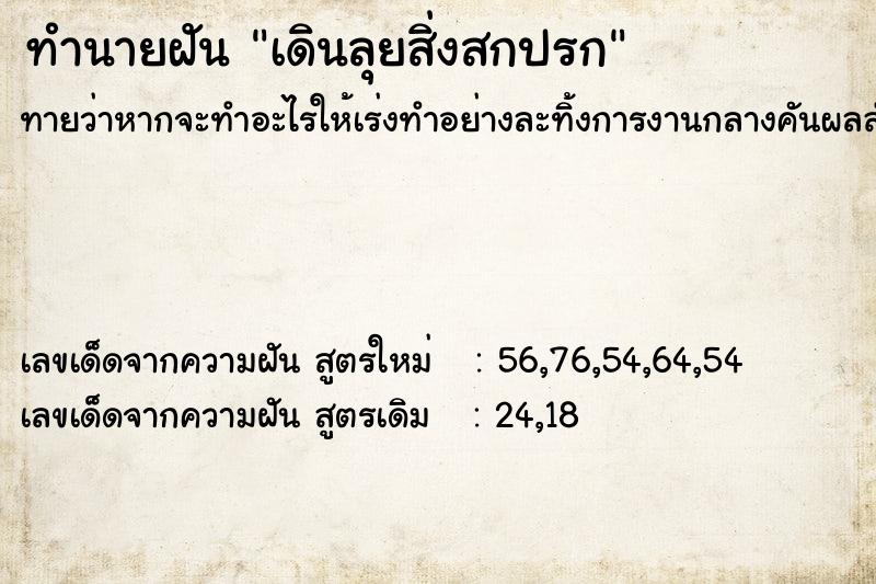 ทำนายฝันเดินลุยสิ่งสกปรก ทำนายฝันทำนายฝันเดินลุยสิ่งสกปรก