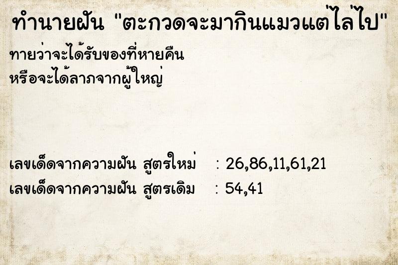 ทำนายฝันตะกวดจะมากินแมวแต่ไล่ไป ทำนายฝันทำนายฝันตะกวดจะมากินแมวแต่ไล่ไป