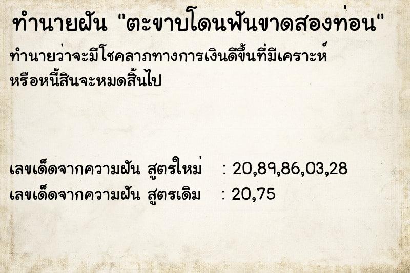 ทำนายฝันตะขาบโดนฟันขาดสองท่อน ทำนายฝันทำนายฝันตะขาบโดนฟันขาดสองท่อน