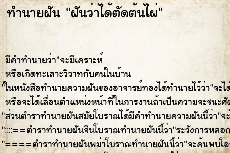 ทำนายฝัน ฝันว่าได้ตัดต้นไผ่ ทำนายฝัน ฝันว่าได้ตัดต้นไผ่