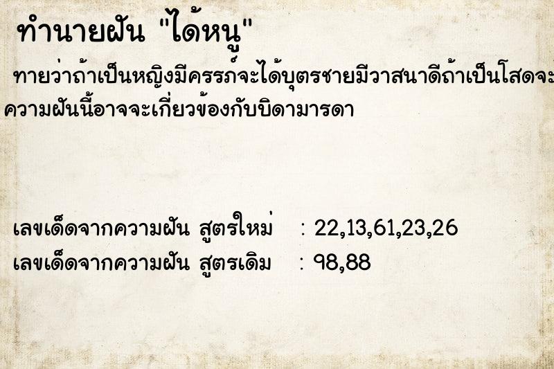 ทำนายฝันได้หนู ทำนายฝันทำนายฝันได้หนู