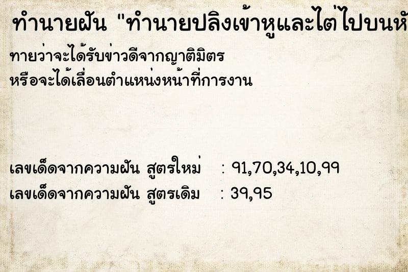 ทำนายฝันทำนายปลิงเข้าหูและไต่ไปบนหัว ทำนายฝันทำนายฝันทำนายปลิงเข้าหูและไต่ไปบนหัว