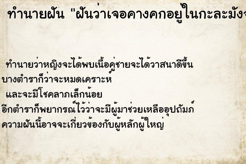 ทำนายฝันฝันว่าเจอคางคกอยู่ในกะละมังจานข้าว ทำนายฝันทำนายฝันฝันว่าเจอคางคกอยู่ในกะละมังจานข้าว