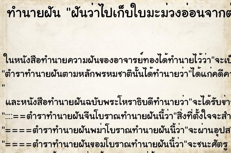ทำนายฝันฝันว่าไปเก็บใบมะม่วงอ่อนจากต้น ทำนายฝันทำนายฝันฝันว่าไปเก็บใบมะม่วงอ่อนจากต้น