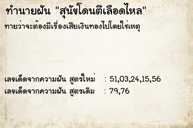 ทำนายฝันสุนัขโดนตีเลือดไหล ทำนายฝันทำนายฝันสุนัขโดนตีเลือดไหล