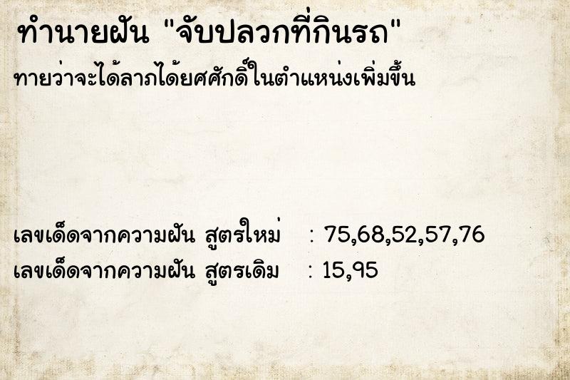 ทำนายฝันจับปลวกที่กินรถ ทำนายฝันทำนายฝันจับปลวกที่กินรถ
