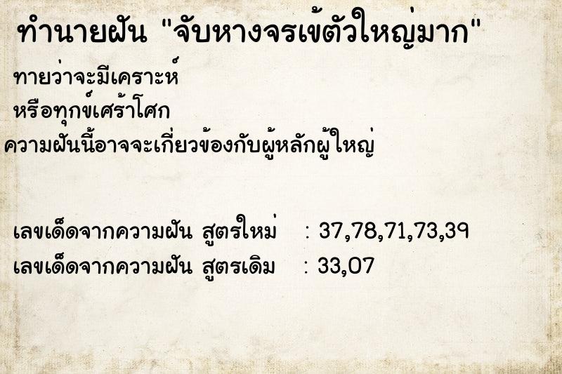 ทำนายฝันทำนายฝันจับหางจรเข้ตัวใหญ่มาก