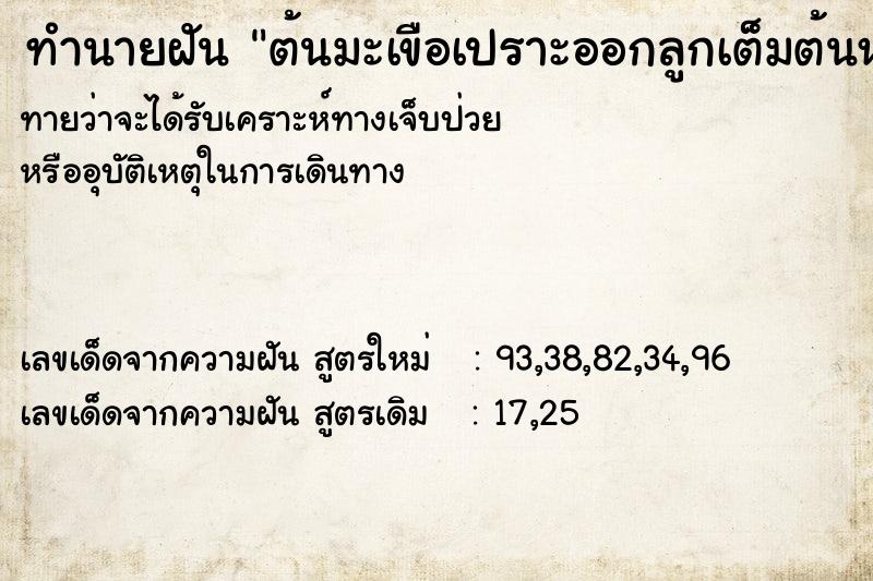 ทำนายฝันทำนายฝันต้นมะเขือเปราะออกลูกเต็มต้นหลายต้น