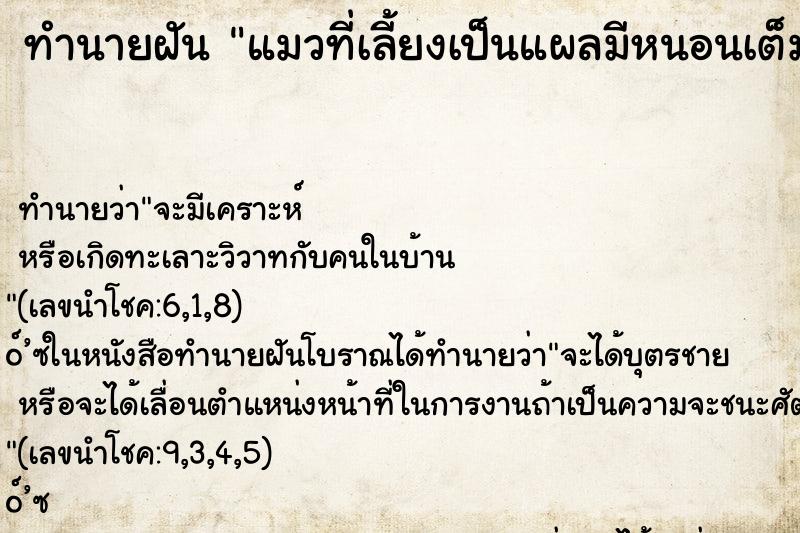ทำนายฝันทำนายฝันแมวที่เลี้ยงเป็นแผลมีหนอนเต็ม