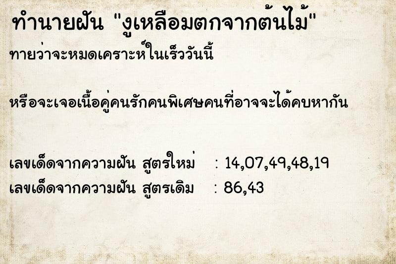 ทำนายฝันงูเหลือมตกจากต้นไม้ ทำนายฝันทำนายฝันงูเหลือมตกจากต้นไม้