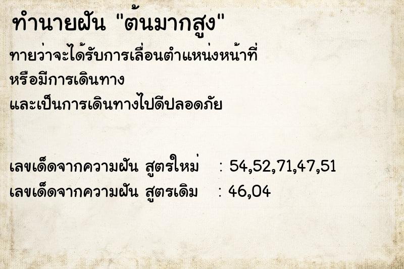 ทำนายฝันต้นมากสูง ทำนายฝันทำนายฝันต้นมากสูง