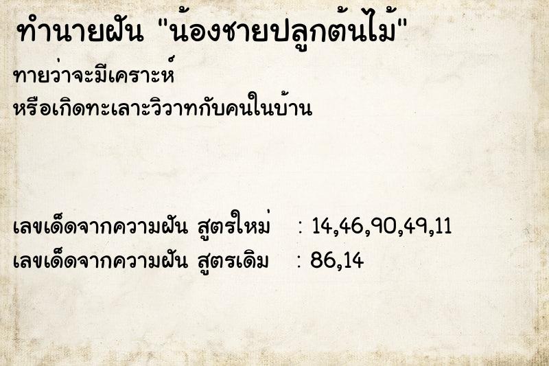 ทำนายฝันน้องชายปลูกต้นไม้ ทำนายฝันทำนายฝันน้องชายปลูกต้นไม้