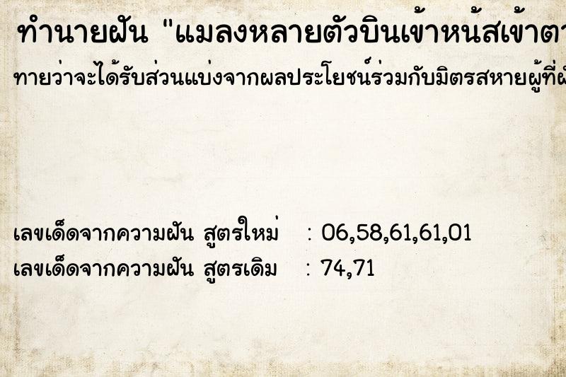 ทำนายฝันทำนายฝันแมลงหลายตัวบินเข้าหน้สเข้าตา