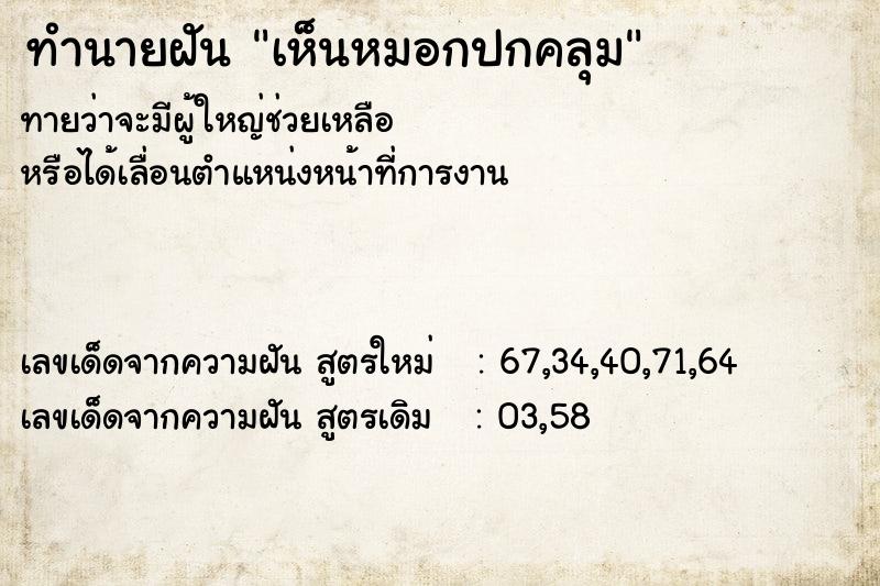 ทำนายฝันเห็นหมอกปกคลุม ทำนายฝันทำนายฝันเห็นหมอกปกคลุม