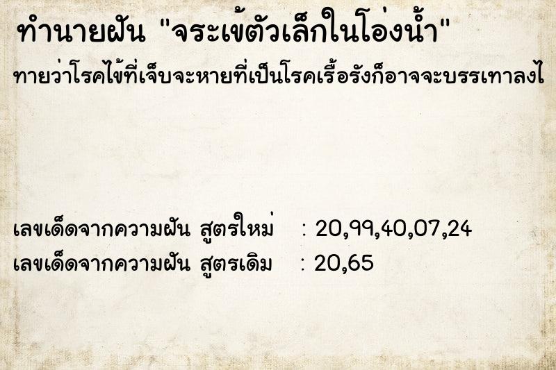 ทำนายฝันจระเข้ตัวเล็กในโอ่งน้ำ ทำนายฝันทำนายฝันจระเข้ตัวเล็กในโอ่งน้ำ
