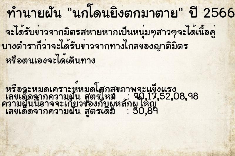 ทำนายฝันนกโดนยิงตกมาตาย ทำนายฝันทำนายฝันนกโดนยิงตกมาตาย
