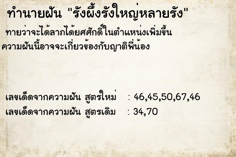 ทำนายฝันทำนายฝันรังผึ้งรังใหญ่หลายรัง