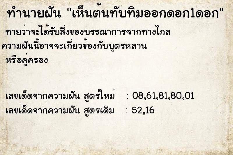 ทำนายฝันเห็นต้นทับทิมออกดอก1ดอก ทำนายฝันทำนายฝันเห็นต้นทับทิมออกดอก1ดอก