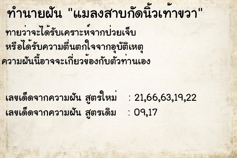 ทำนายฝันทำนายฝันแมลงสาบกัดนิ้วเท้าขวา