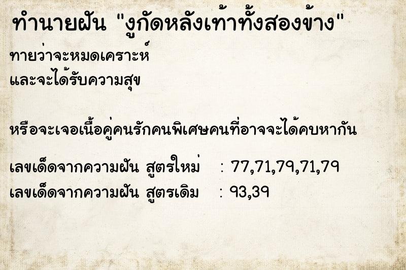 ทำนายฝันงูกัดหลังเท้าทั้งสองข้าง ทำนายฝันทำนายฝันงูกัดหลังเท้าทั้งสองข้าง