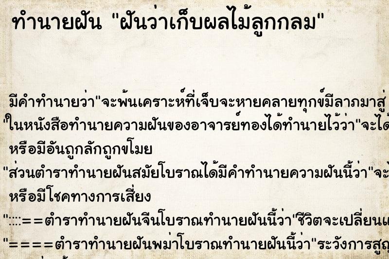 ทำนายฝันฝันว่าเก็บผลไม้ลูกกลม ทำนายฝันทำนายฝันฝันว่าเก็บผลไม้ลูกกลม