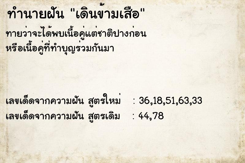 ทำนายฝันเดินข้ามเสือ ทำนายฝันทำนายฝันเดินข้ามเสือ