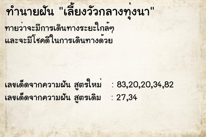 ทำนายฝันเลี้ยงวัวกลางทุ่งนา ทำนายฝันทำนายฝันเลี้ยงวัวกลางทุ่งนา