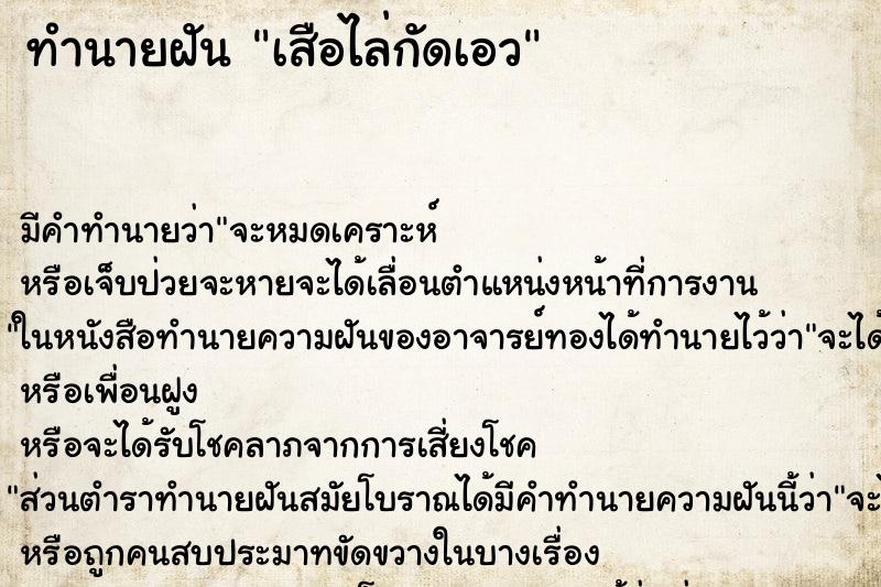 ทำนายฝัน เสือไล่กัดเอว ตำราโบราณ แม่นที่สุดในโลก