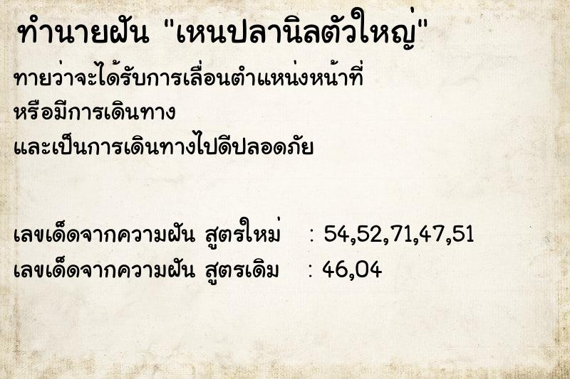 ทำนายฝันเหนปลานิลตัวใหญ่ ทำนายฝันทำนายฝันเหนปลานิลตัวใหญ่