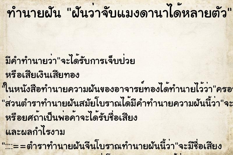 ทำนายฝันทำนายฝันฝันว่าจับแมงดานาได้หลายตัว