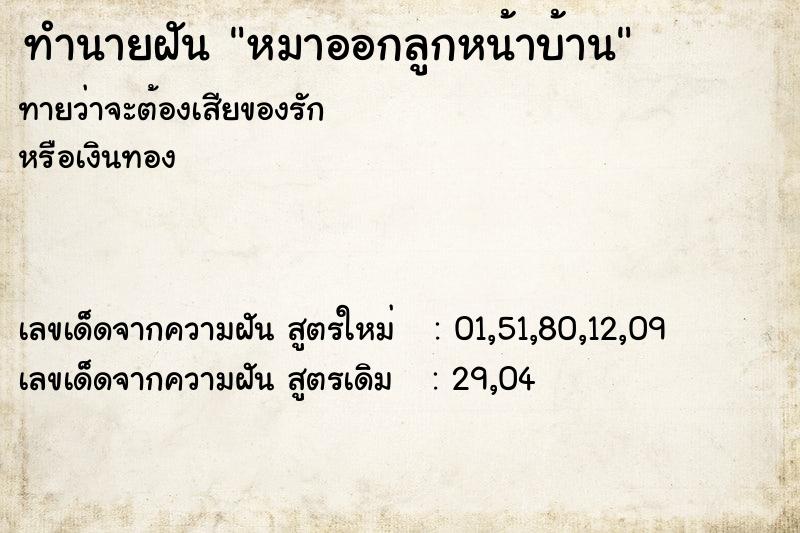 ทำนายฝันทำนายฝันหมาออกลูกหน้าบ้าน