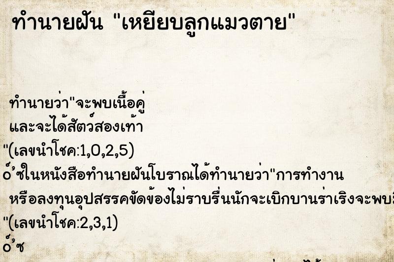 ทำนายฝันเหยียบลูกแมวตาย ทำนายฝันทำนายฝันเหยียบลูกแมวตาย
