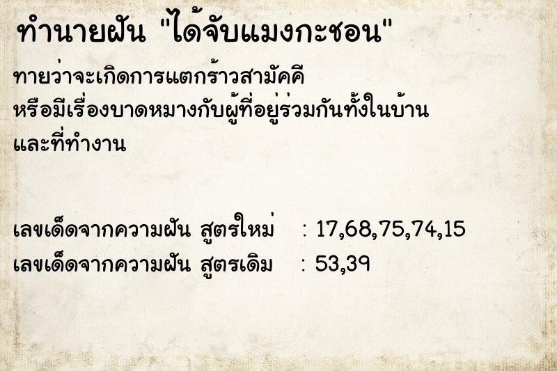 ทำนายฝันทำนายฝันได้จับแมงกะชอน
