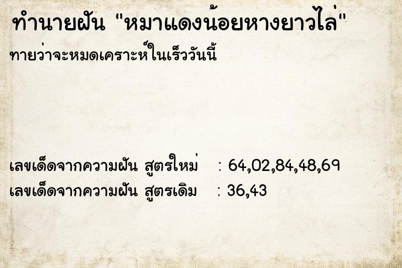 ทำนายฝันทำนายฝันหมาแดงน้อยหางยาวไล่
