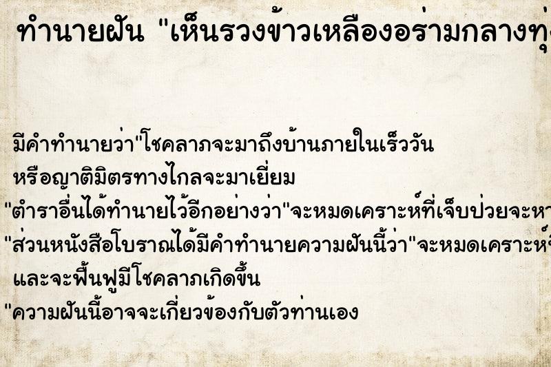 ทำนายฝัน เห็นรวงข้าวเหลืองอร่ามกลางทุ่งนา ตำราโบราณ แม่นที่สุดในโลก