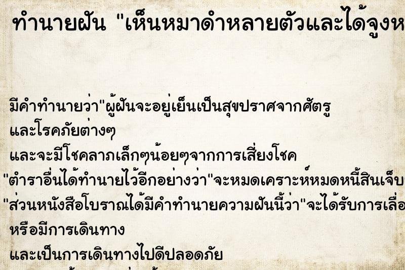 ทำนายฝัน เห็นหมาดำหลายตัวและได้จูงหมาดำ ทำนายฝัน เห็นหมาดำหลายตัวและได้จูงหมาดำ