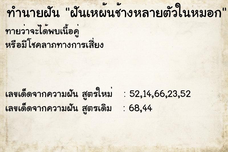 ทำนายฝันทำนายฝันฝันเหผ้นช้างหลายตัวในหมอก